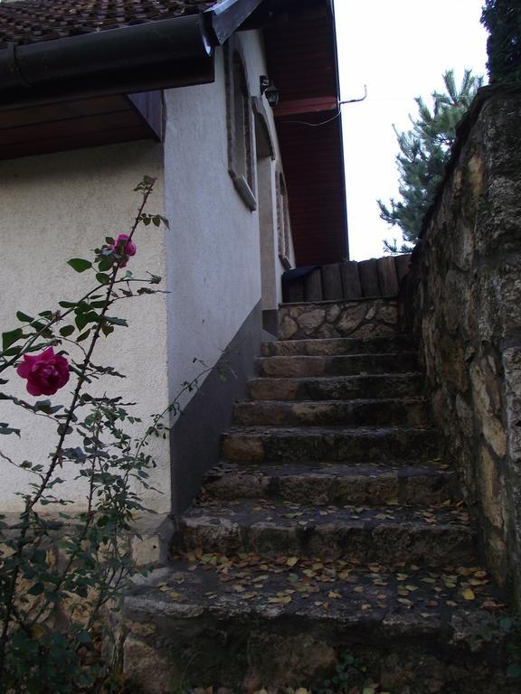 Hotel Szalma Vendeghaz Mogyorosbanya Zewnętrze zdjęcie