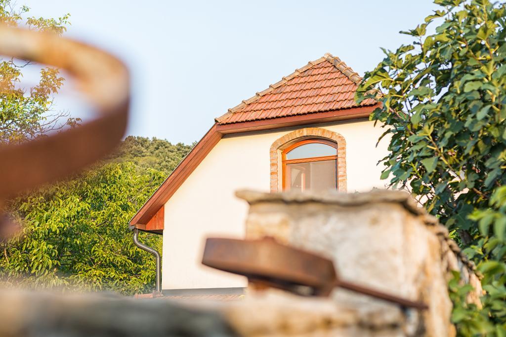 Hotel Szalma Vendeghaz Mogyorosbanya Zewnętrze zdjęcie