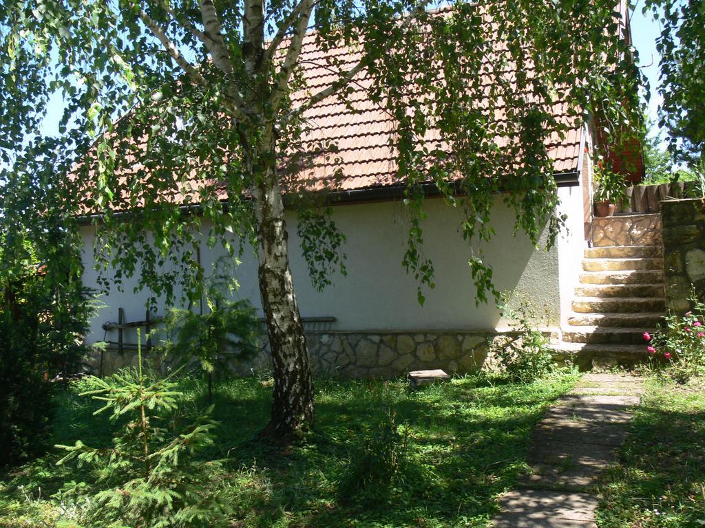 Hotel Szalma Vendeghaz Mogyorosbanya Zewnętrze zdjęcie