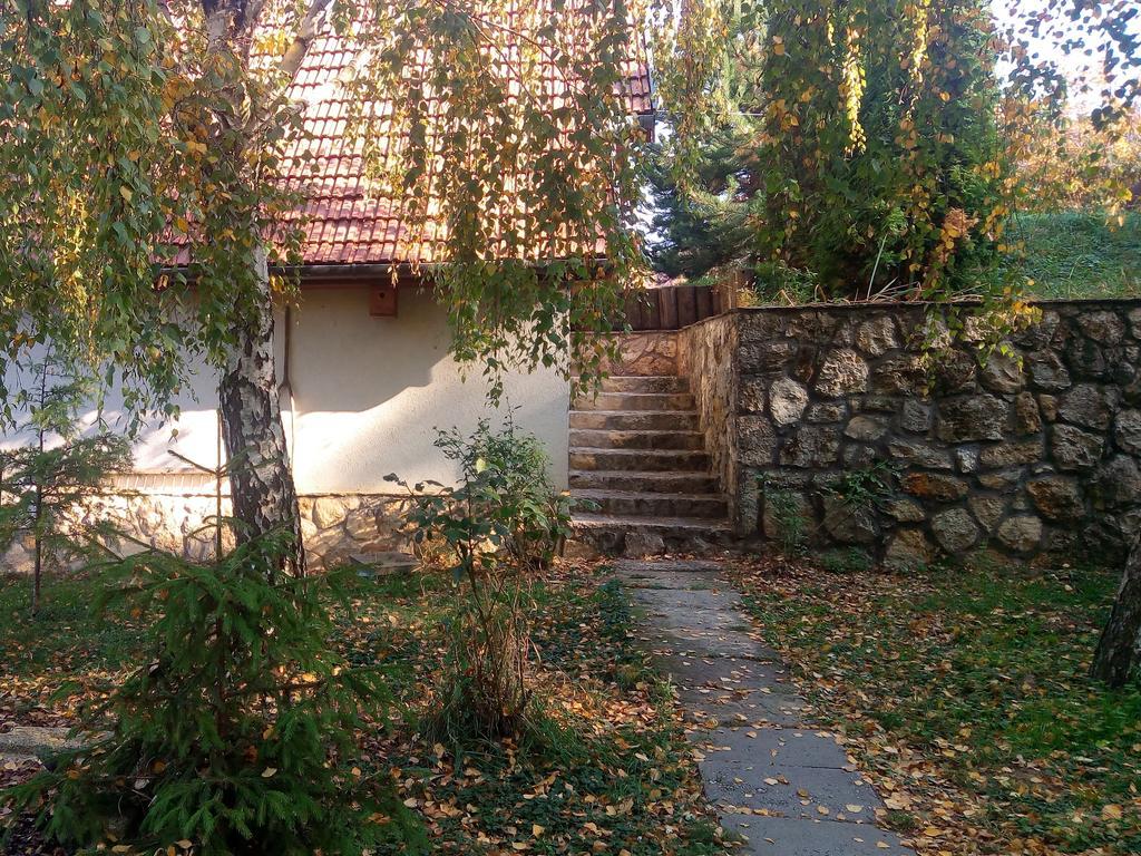 Hotel Szalma Vendeghaz Mogyorosbanya Zewnętrze zdjęcie